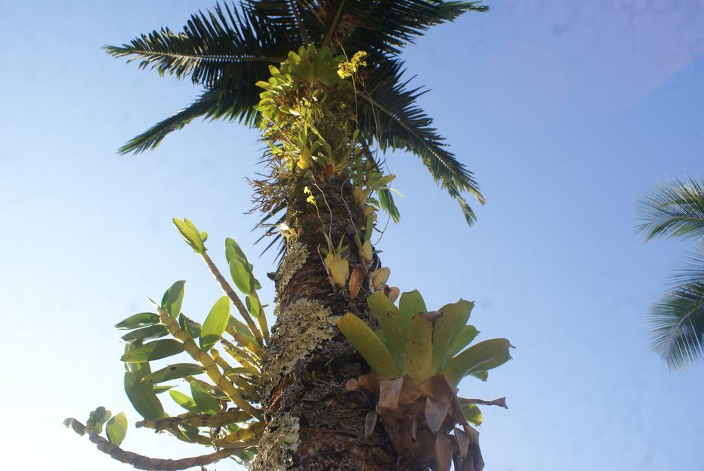 A Cor Do Sol Pensão Ubatuba